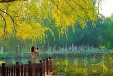 亚洲一区二区三区免费-亚洲文化与地域特色的多元视角